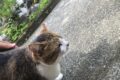エコリタ店長　現場オフショット