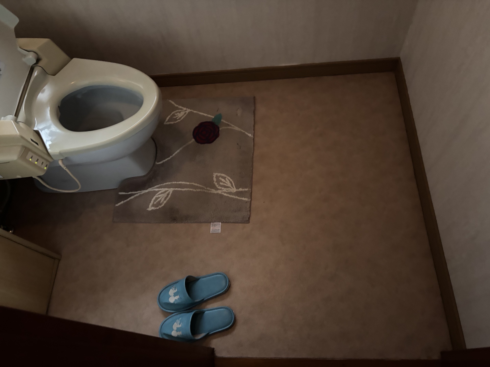 大分市I様邸TOTOピュアレストQR+アプリコットF1A　便器交換施工事例工事前写真2