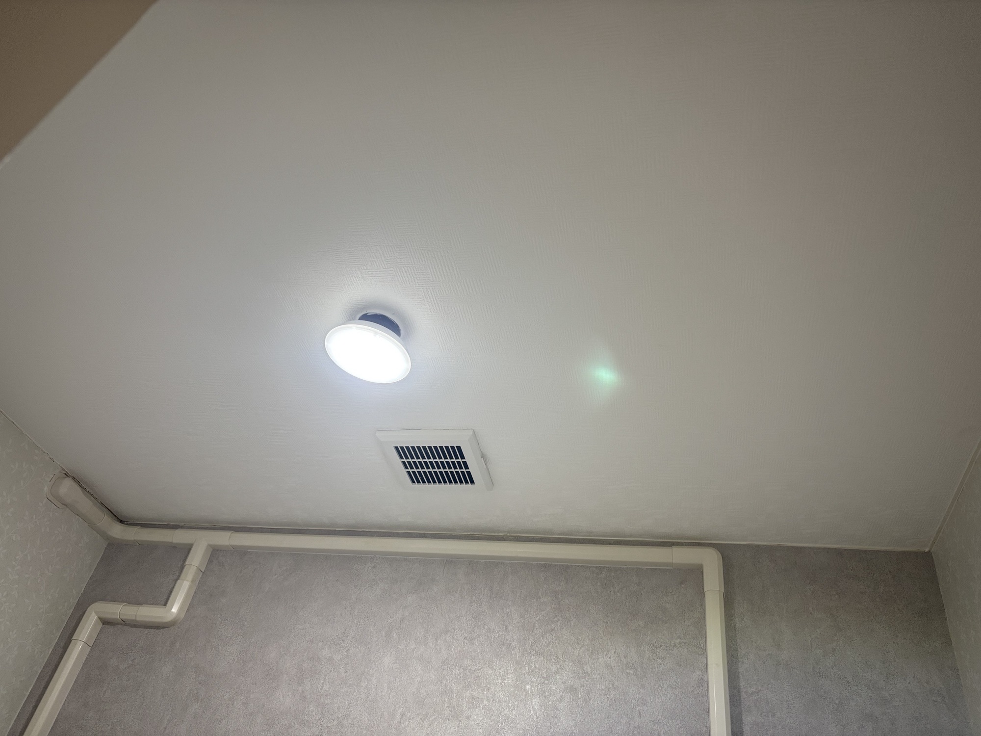 大分市I様邸トイレリフォーム　洋便器交換、内装パック、換気口交換工事後写真3